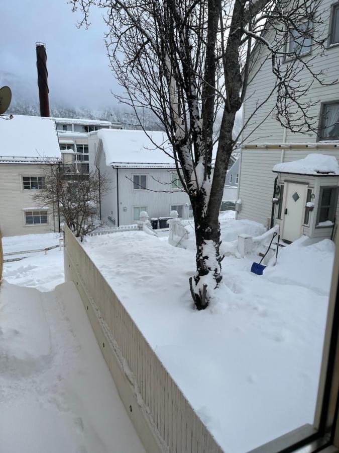 Guesthouse In Tromso Center By Dada Dış mekan fotoğraf